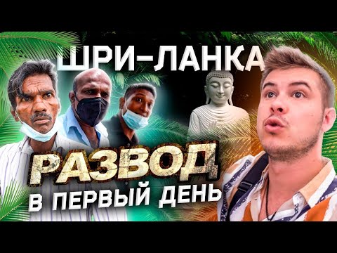 Видео: Как я развёл разводил / Шри-Ланка показала истинное лицо #шриланка #коломбо