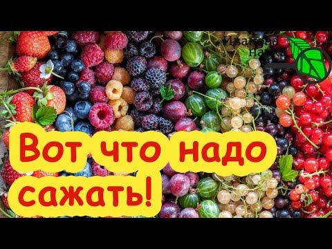 Видео: ХОТЬ С КРАЮ, ХОТЬ СБОКУ: обязательно посадите их на участке. За какими сортами НАДО гоняться.