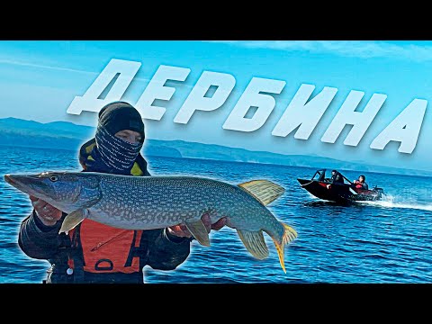 Видео: НА НОВОЙ ЛОДКЕ из ПНД !! РЫБАЛКА ВЕСНОЙ на ВОДОХРАНИЛИЩЕ | КВХ 2024