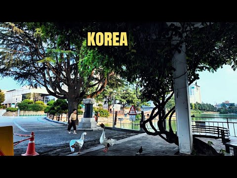 Видео: Вечерняя прогулка по кампусу Университета Конкук – Атмосфера заката в Сеуле 🇰🇷🌇