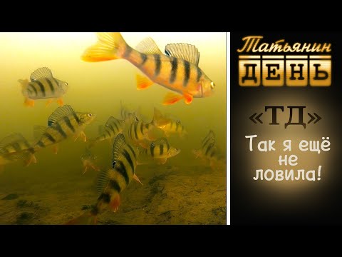 Видео: "ТД" Татьянин день. Так я ещё не ловила!