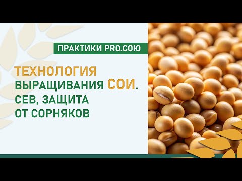 Видео: Технология выращивания сои. Сев, защита от сорняков | Практики PRO.СОЮ