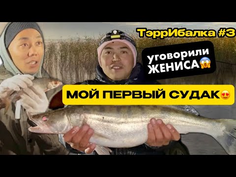 Видео: Тэррибалка #3 Уговорили Жениса | Царский Судак