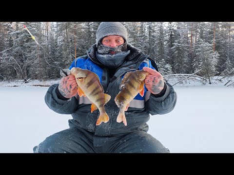 Видео: Окунь на мормышку на реке Етыпур морозным денёчком.