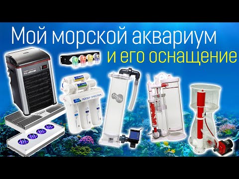Видео: Мой морской аквариум и его оснащение.