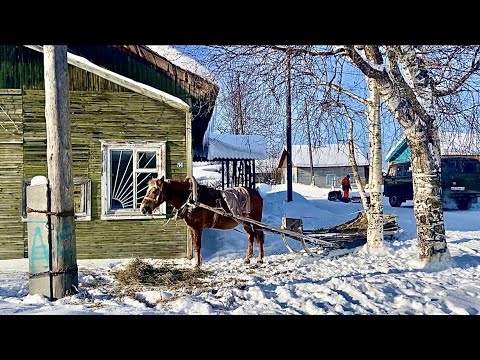 Видео: Автостопом на Русский Север. Ч.3 - Двина, Пинега