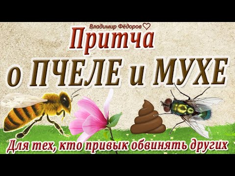 Видео: "Притча о Пчеле и Мухе" - Кто Ты? Для Тех, Кто Привык Обвинять Других