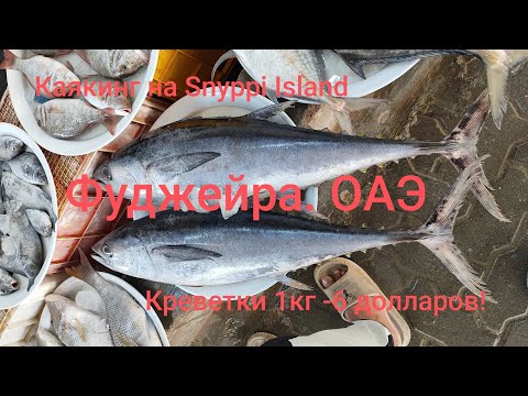 Видео: 7. ОАЭ Фуджейра. Каякинг на Snyppi Island. Цены. Креветки на рыбном базаре.