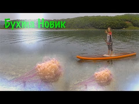 Видео: Бухта Новик. Прогулка по морю на SUP board.