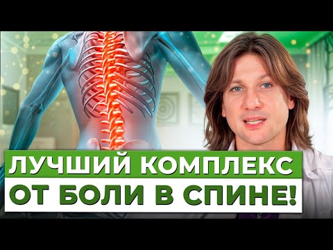 Видео: Боль в СПИНЕ уйдет НАВСЕГДА! / 4 ЛУЧШИХ упражнения для здоровья спины