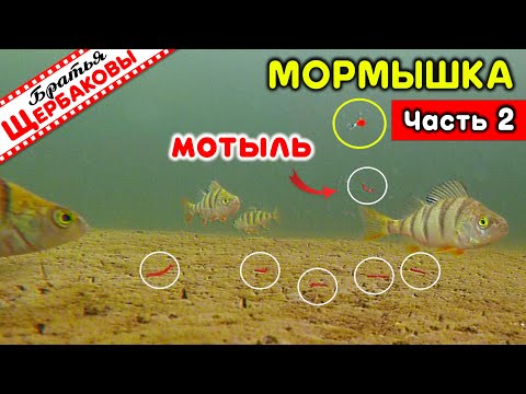 Видео: Микробалда, вольфрамовая мормышка, окуни и ПРИКОРМКА МОТЫЛЁМ! Есть ли в этом смысл? Подводные съемки