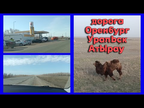 Видео: Дорога Оренбург-Уральск-Атырау 2023 - цены на бензин, объезды, разбитая дорога