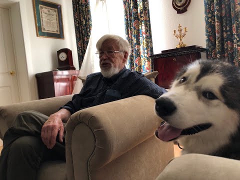 Видео: Разговор с Андреем Фалалеевым (Высшая Школа Перевода, Санкт-Петербург, 2024-й год)