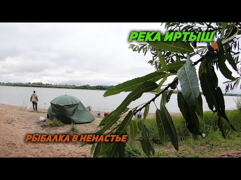 Видео: Фидер на реке Иртыш. Рыбалка в Омской области.