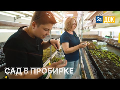 Видео: Кубанским фермерам доступны технологии INVITRO. ЗЕМЛЕХОД