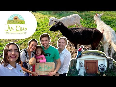 Видео: "Cozy Farm": молоде подружжя заснувало козину ферму на Львівщині (Когути) [ЧАСТИНА 1]