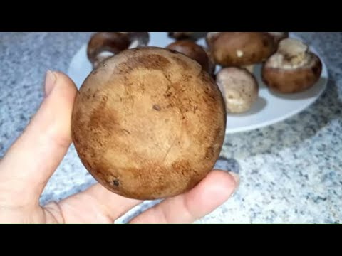 Видео: Кто Бы Мог Подумать.ЧЕМ отличаются королевские шампиньоны от обычных.