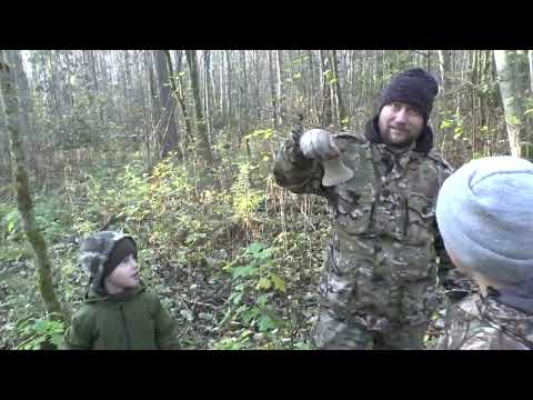 Видео: Карельский перешеек.  Поиск  по Викингам (третья часть).   Октябрь 2024г.