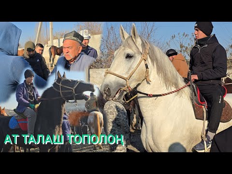 Видео: МЫНДАЙ СООДА БОЛГОН ЭМЕС ПАЙ ПАЙ ПАЙ  КОЛУН  ЖУЛУП АЛДЫ 