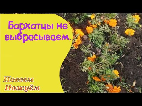 Видео: Растишки лечат землю