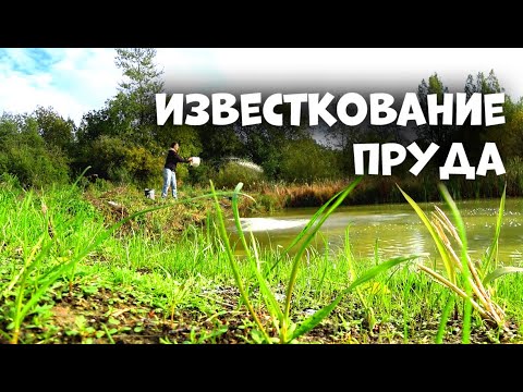 Видео: Известкование воды в пруду негашеной известью осенью