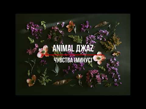 Видео: Animal ДжаZ – Чувства (минус)