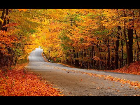 Видео: Субботнее Служение