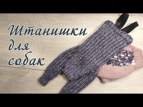 Видео: Как связать штанишки для собак, вязание спицами