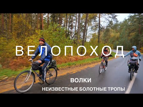 Видео: Осенний велопоход. Полесье. Беларусь. Болото.