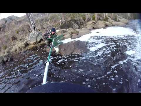 Видео: Корюшка пошла