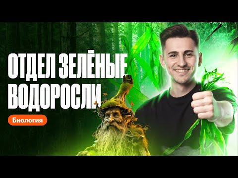 Видео: Отдел Зелёные водоросли | ОГЭ по биологии | Федор Агеев