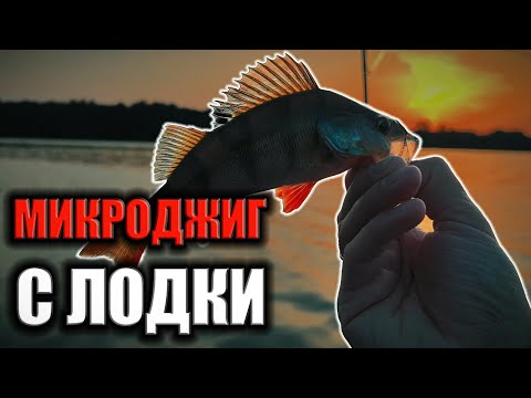 Видео: Нашли СТАЮ ОКУНЕЙ! Микроджиг с лодки.