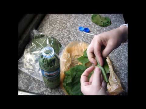 Видео: 3 СПОСОБА ЗАГОТОВКИ виноградных листьев