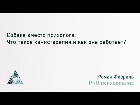 Видео: Канистерапия, собака вместо психолога