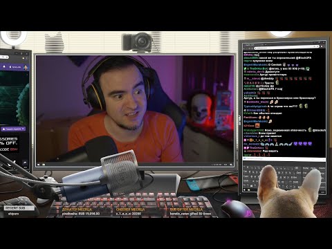 Видео: Упоротый Watch Dogs: Legion и 2D Phasmophobia ● BlackSilverUFA