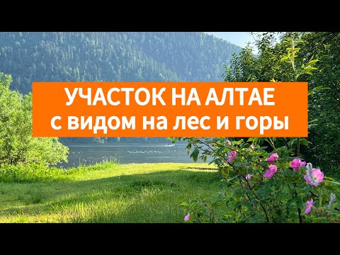 Видео: Продаю смежные участки ИЖС в Горном Алтае, рядом с Усть-Коксой, рядом с берегом реки Кокса.