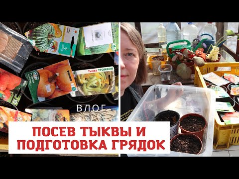 Видео: Это был сложный выбор! Влог / Готовлю грядки и сею 17 сортов тыквы