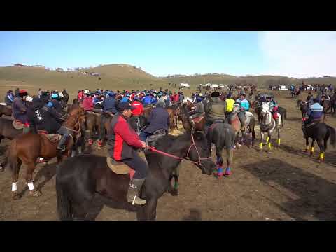 Видео: Асылбек Көкпар, Құланаян