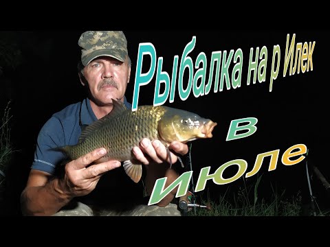 Видео: Рыбалка в июле на р Илек. Карп карась подлещик на жмых и  крышку г. Актобе 2023г