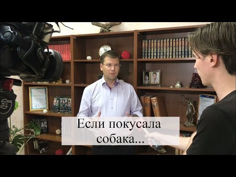 Видео: Что делать, если Вас укусила собака? Возмещение вреда здоровью: советы адвоката