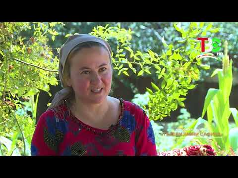 Видео: Олга Морозова | Қисмат