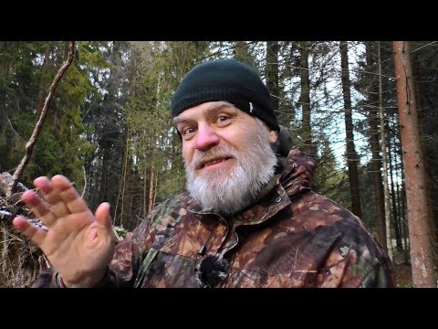 Видео: Про вежливость