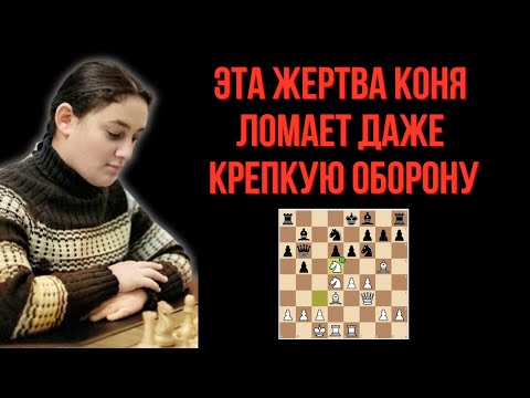 Видео: Гениальная Шахматная Комбинация Которую Вы Обязаны Знать