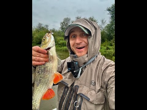 Видео: Попал на раздачу голавля, но еле его нашел, небольшие секреты.