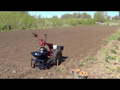 Видео: КАК ПОСАДИТЬ КАРТОШКУ МОТОБЛОКОМ МТЗ С КАРТОФЕЛЕСОЖАЛКОЙ