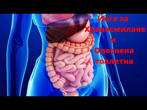 Видео: Йога за храносмилане и тоалетна ;)