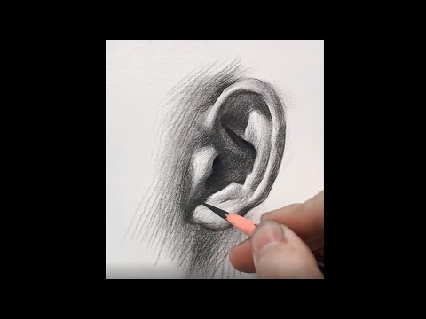 Видео: Вы можете использовать эту технику, чтобы нарисовать ухо.