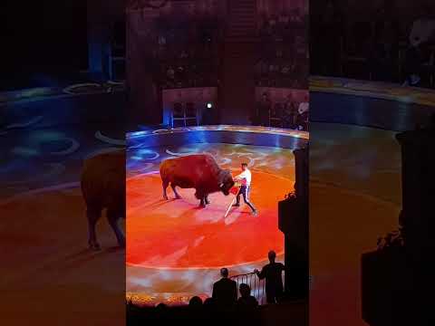 Видео: 02.11.2025 - Итальянский цирк на Фонтанке.