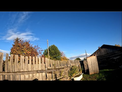 Видео: Заготовка на зиму. Ремонт камина. Огурцы в сентябре