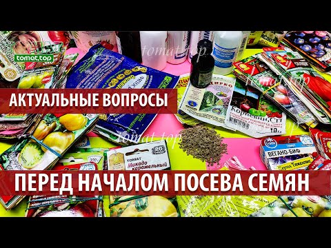 Видео: Актуальные вопросы перед началом посева томатов на рассаду. Перед началом посева семян томатов